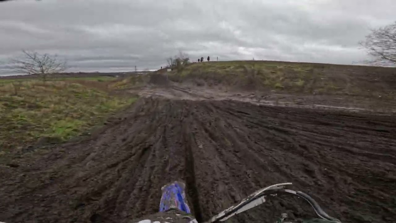 Peacock hays 1st March