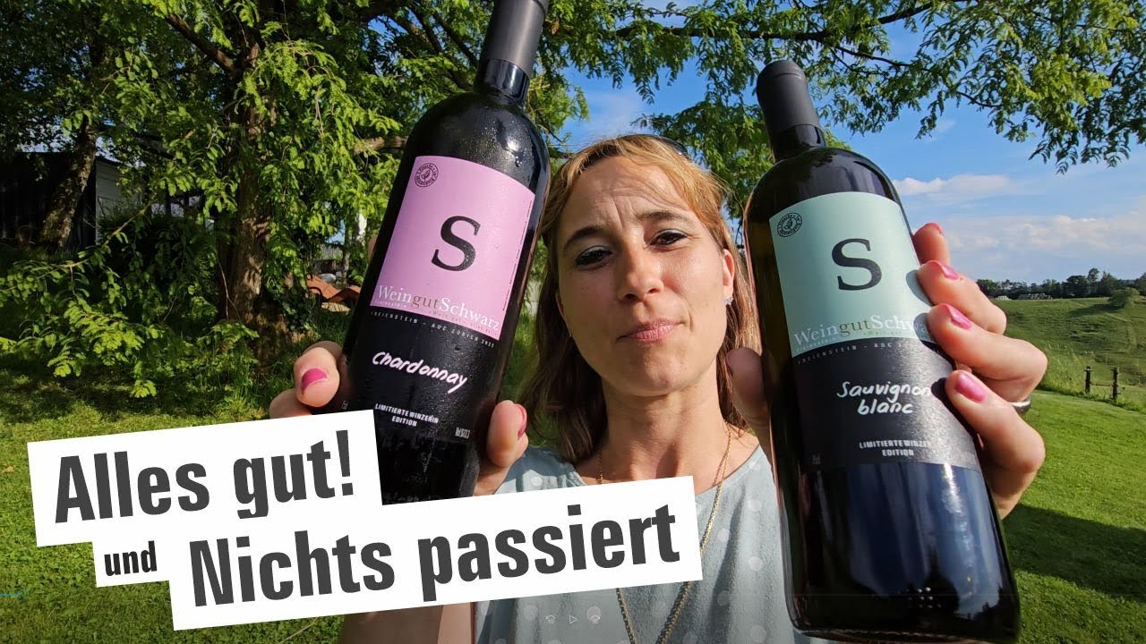 Alles gut und nicht passiert! | mit Herzblut zum Wein Vlog #375