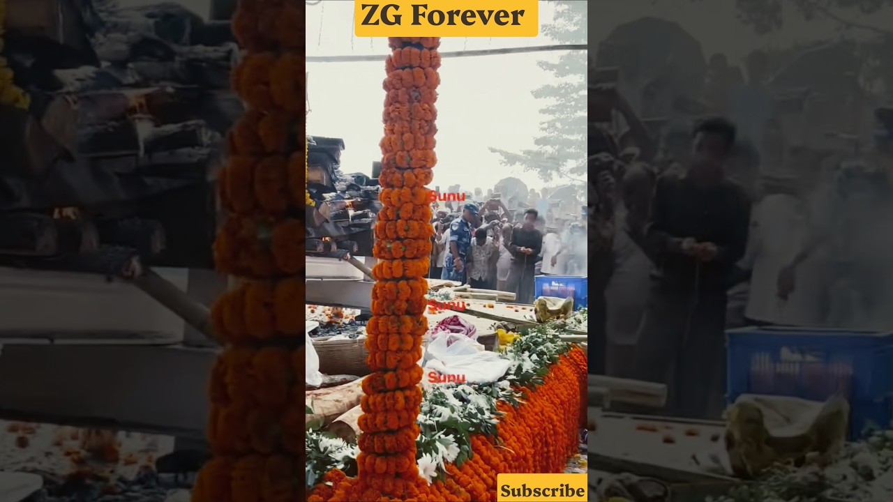 ZG Forever ll #jubin_gurg_bangla_songs #jubin_gurg_new_assamese_songs #jubin_gurg_adivashi_songs