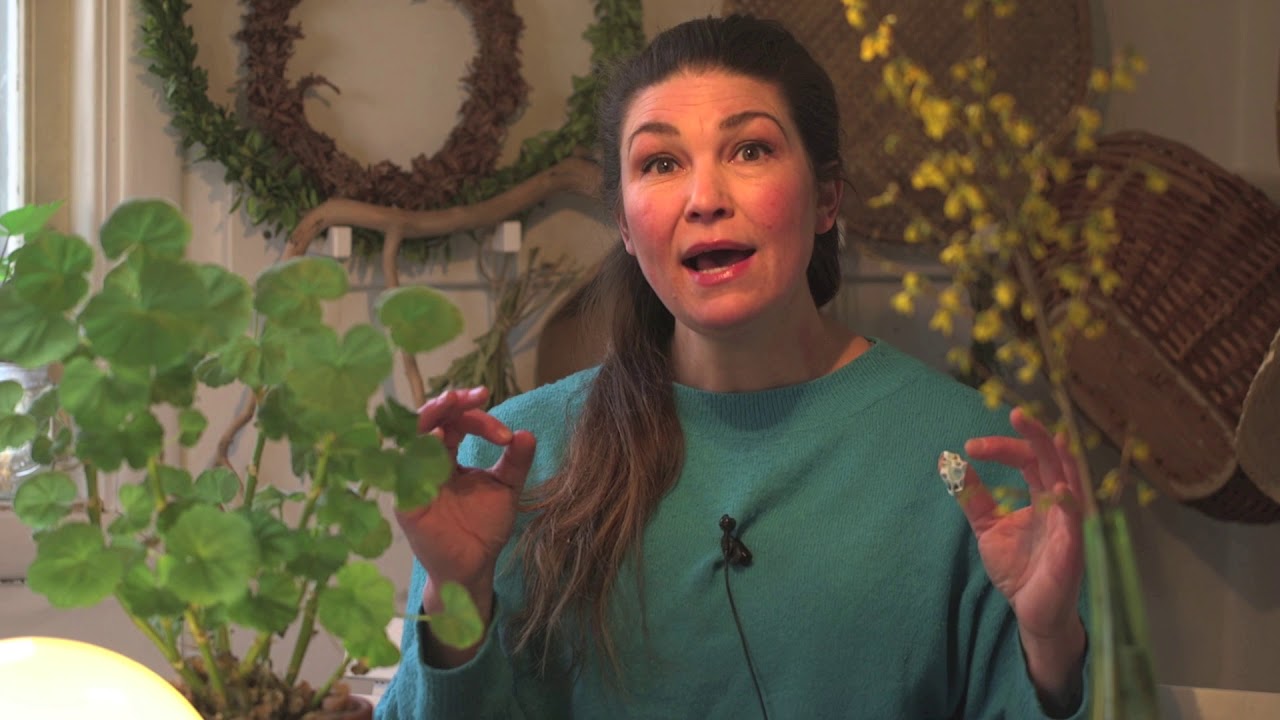 Biokol gör egen hemma, varmkompost och sticklingar i Hemma hos Jessica v 7