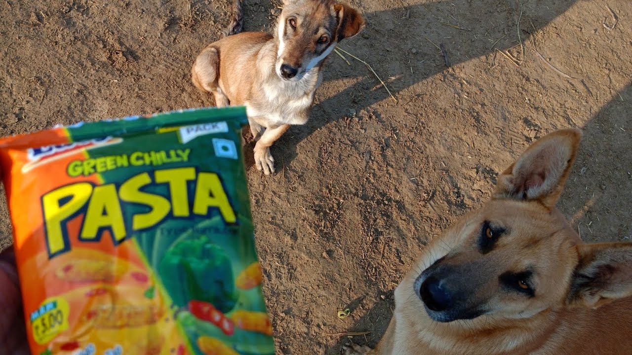 Kaalu and Don eating food.(daily vlog:6)