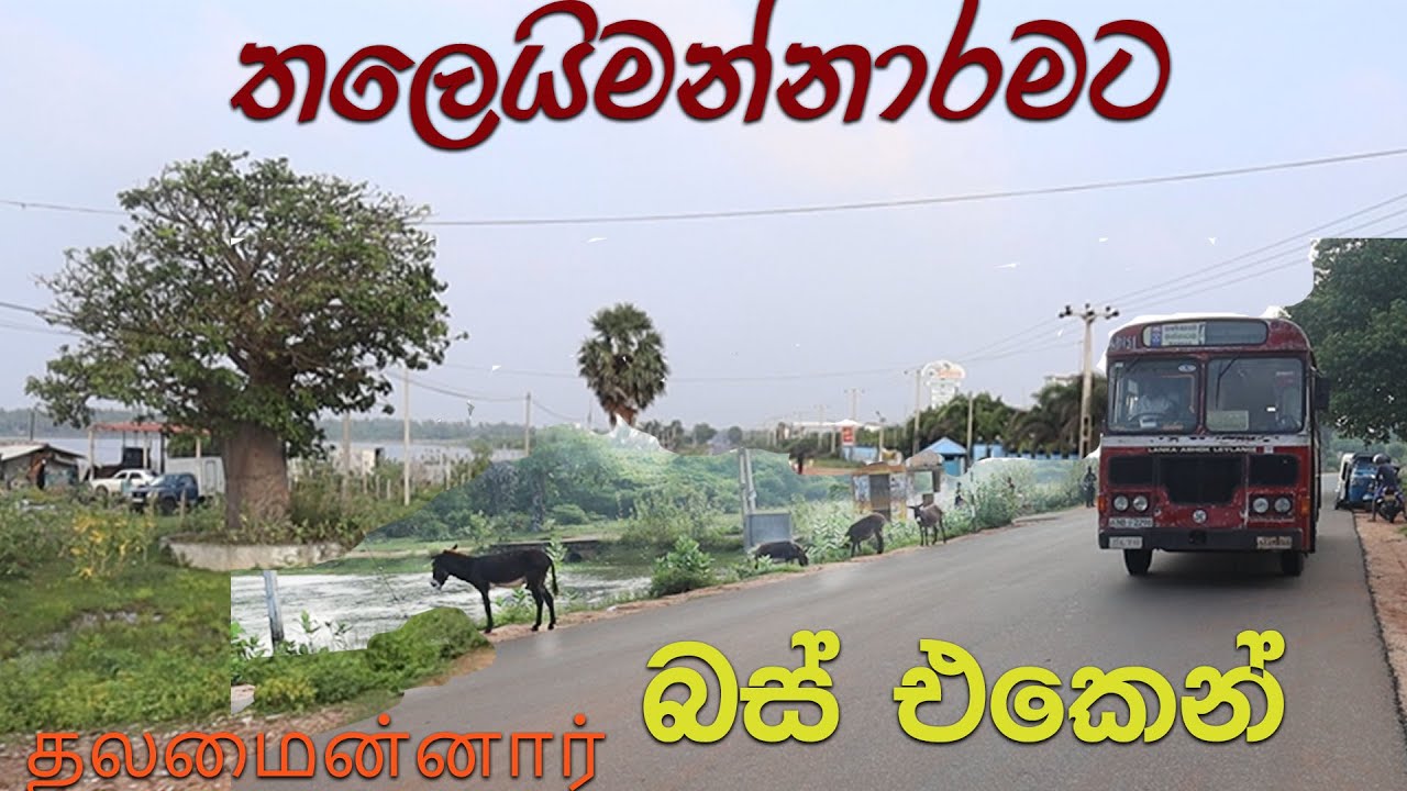 තලෙයිමන්නාරමට බස් එකෙන් | Talaimannar bus journey ! தலைமன்னார்