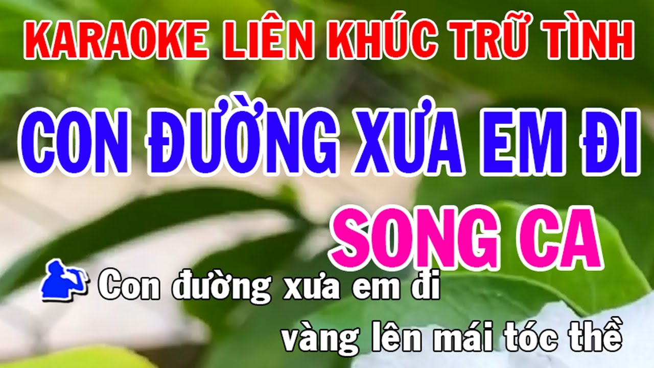 Liên Khúc Bolero Karaoke Song Ca Nhạc Sống l Con Đường Xưa Em Đi l Phối Mới Dễ Hát l Nhật Nguyễn