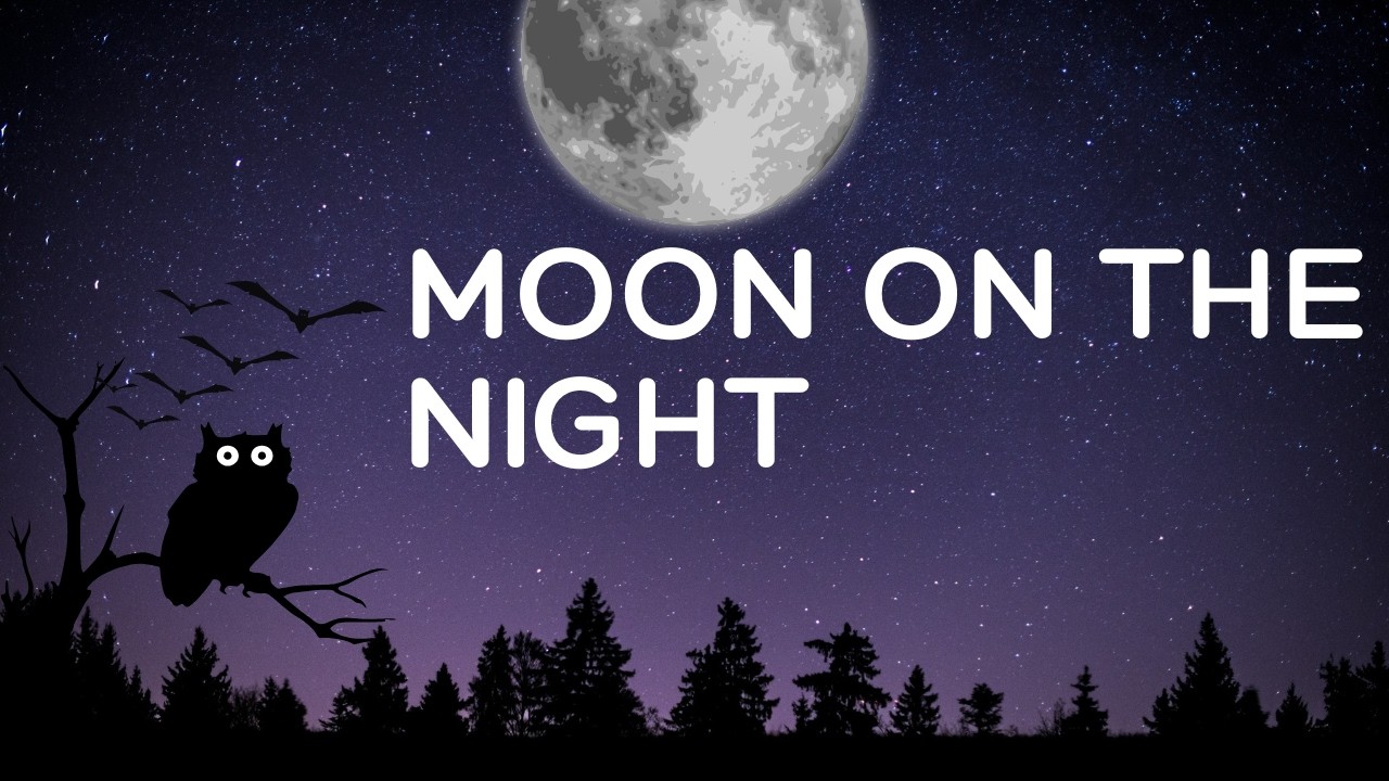 Moon on the night, Sad songs emotional, Music lyric pop.0222 2