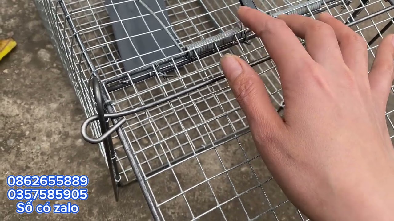 Báo giá lồng bẫy mèo hoang,chồn,cáo,sóc.thú tới 8kg,lchắc chắn,bền,hiệu quả cao.giá 2xx#lồngbẫymèo
