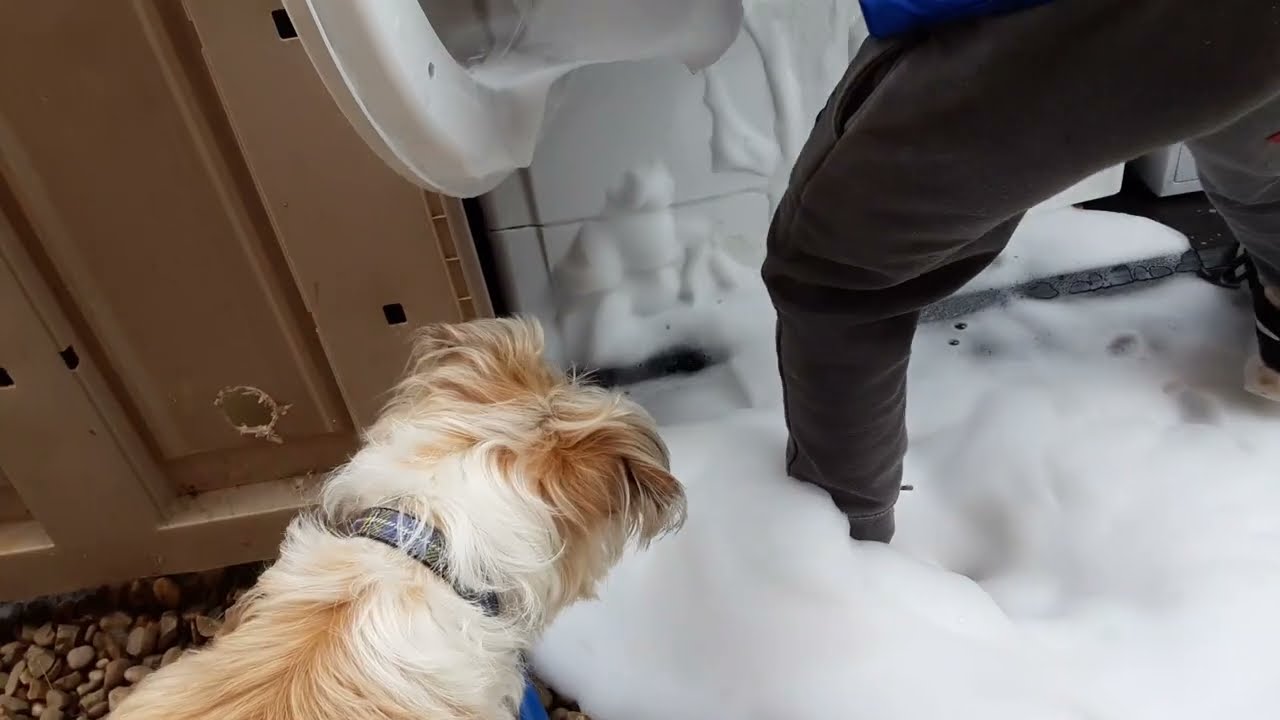 foam coming out of the washing machine, and bubbles coming out of the detergent drawer!