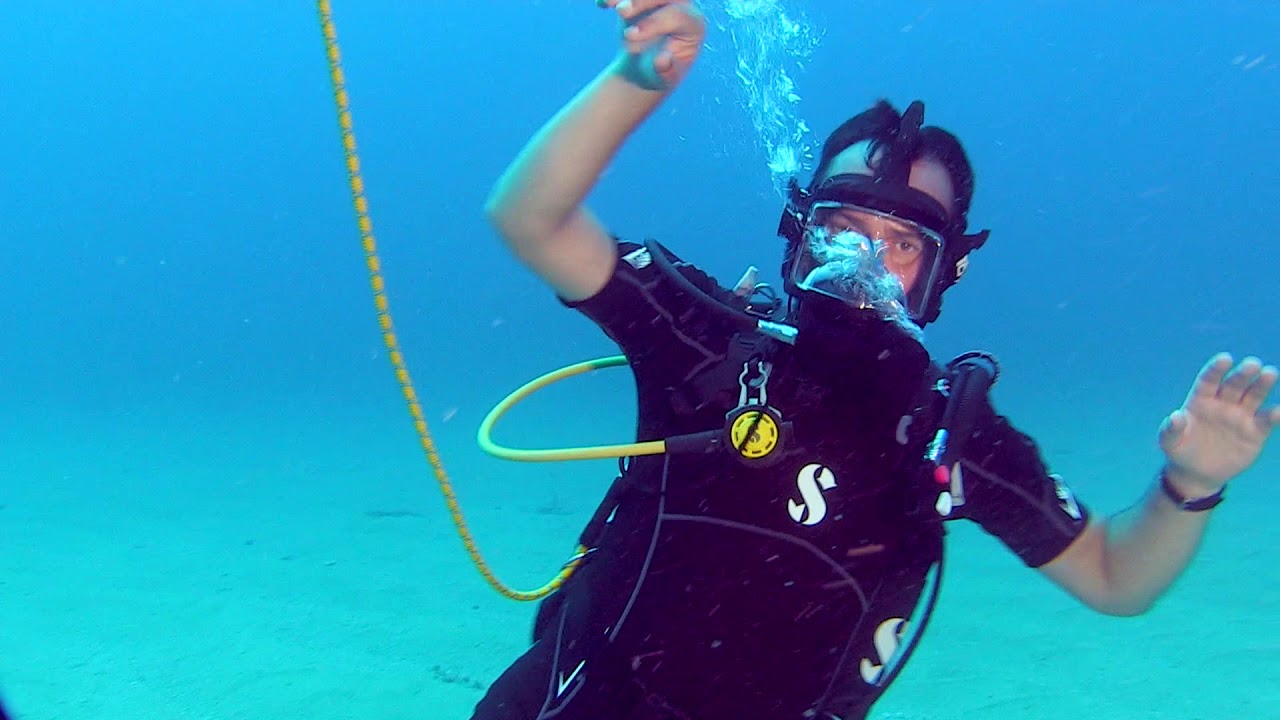 The diveLIVE voyage launches today!