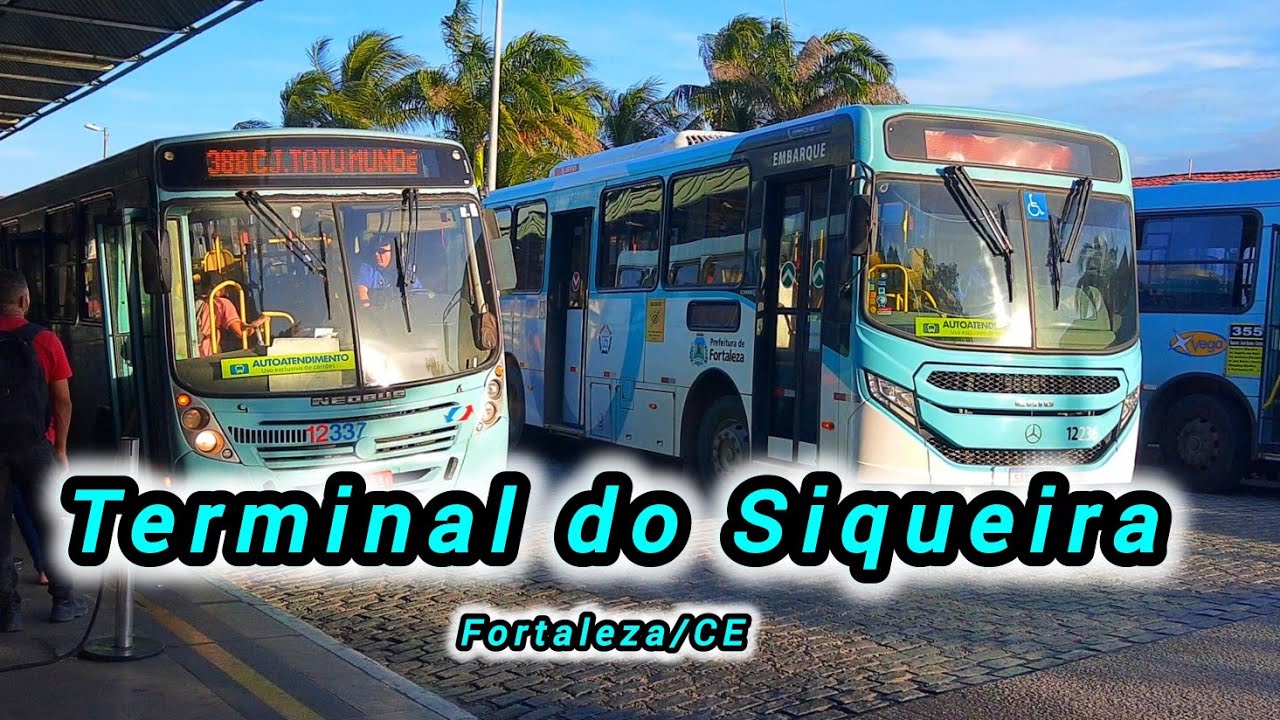 Terminal do Siqueira Movimentação dos Ônibus Junho/2024 #Busmaniaco