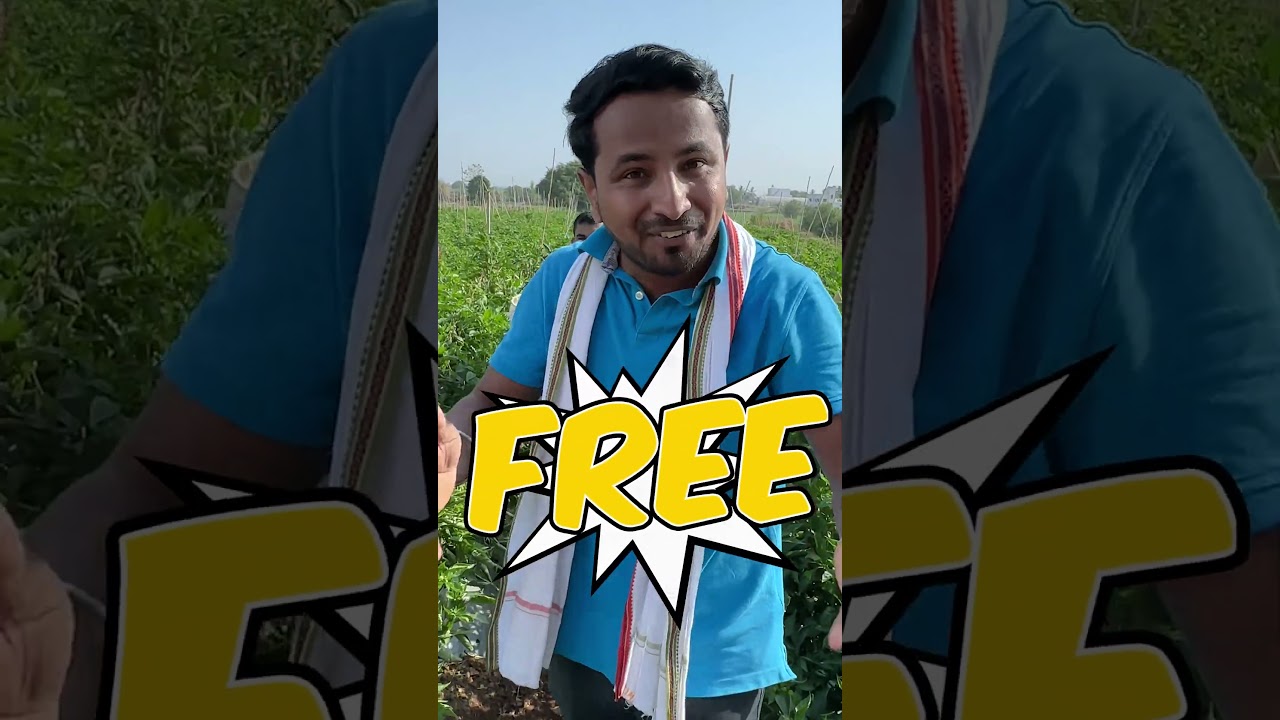 Plantix के होते हुए टेंशन नहीं✅12 महीने करो Profit में खेती💰💯 #indianfarmer #shorts