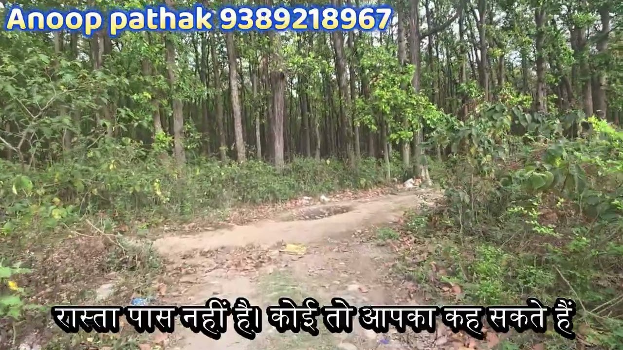 Prime 195 Gaj Plot in Garhwali Colony Bhauwala Dehradun | Forest View | Residential Plot |