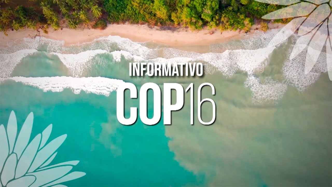 Informativo COP16 - Capítulo 2: Emisión del lunes 21 de octubre, 8 p.m.
