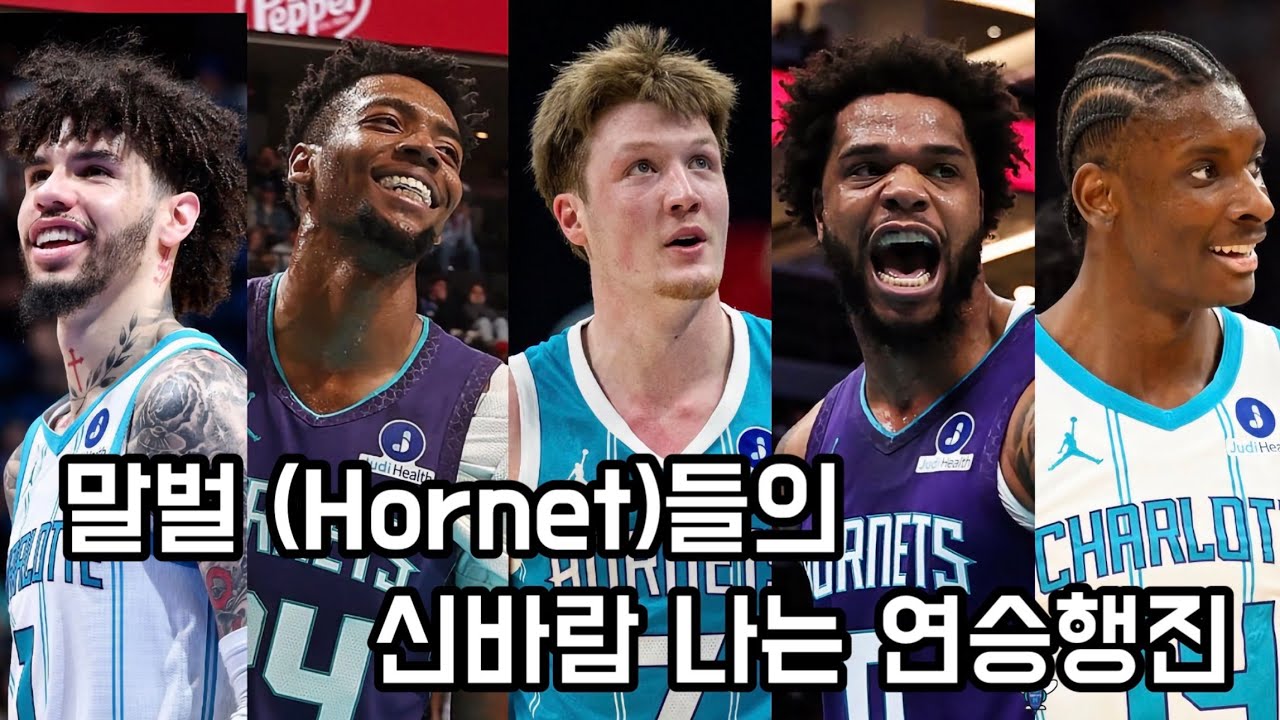 빈티지 샬럿 호네츠? 호네츠 농구의 새로운 시대