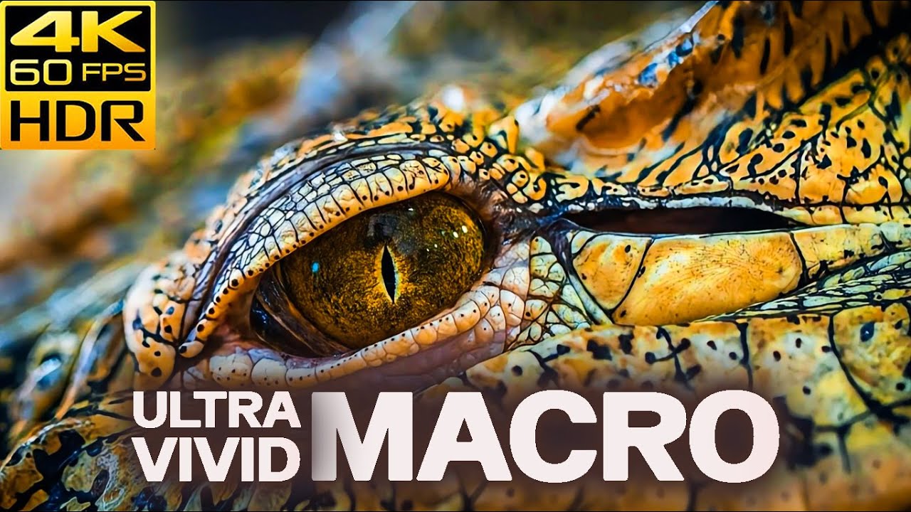 Beautiful 4K Videos with relaxing music for stress relief | 4K HDR 60fps