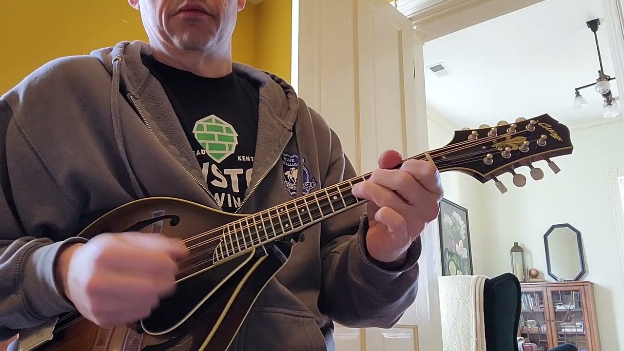 Collings MT-2 Varnish