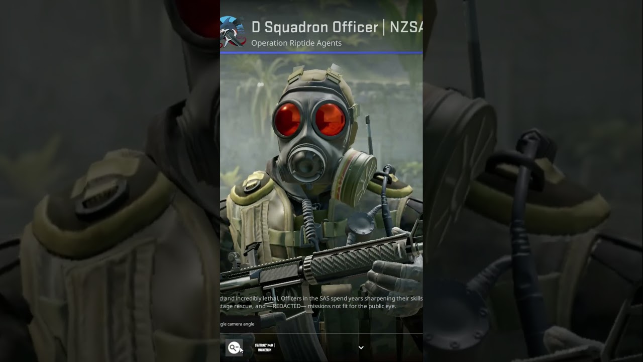 D Squadron Officer NZSA #counterstrike2