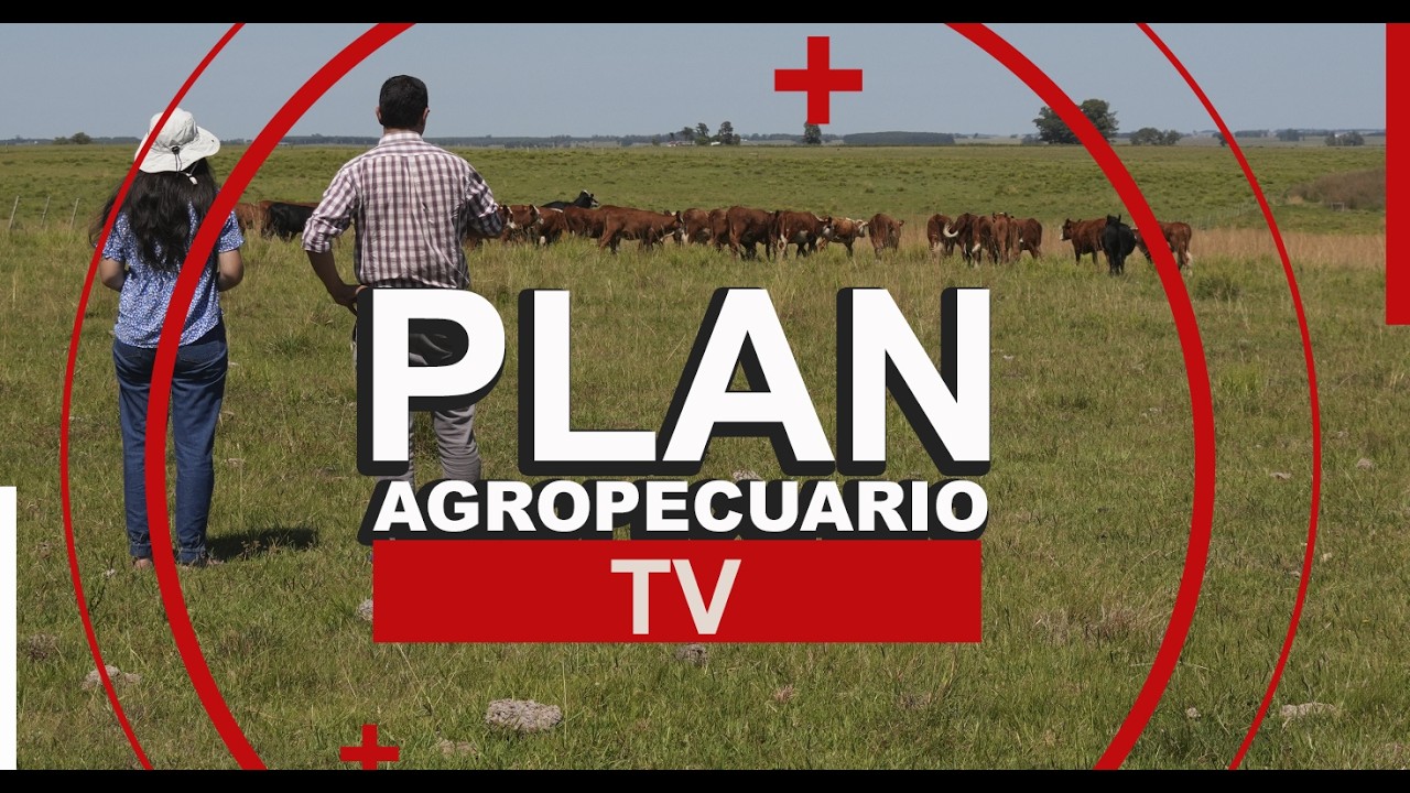 Programa del Plan Agropecuario del 9 de febrero de 2026