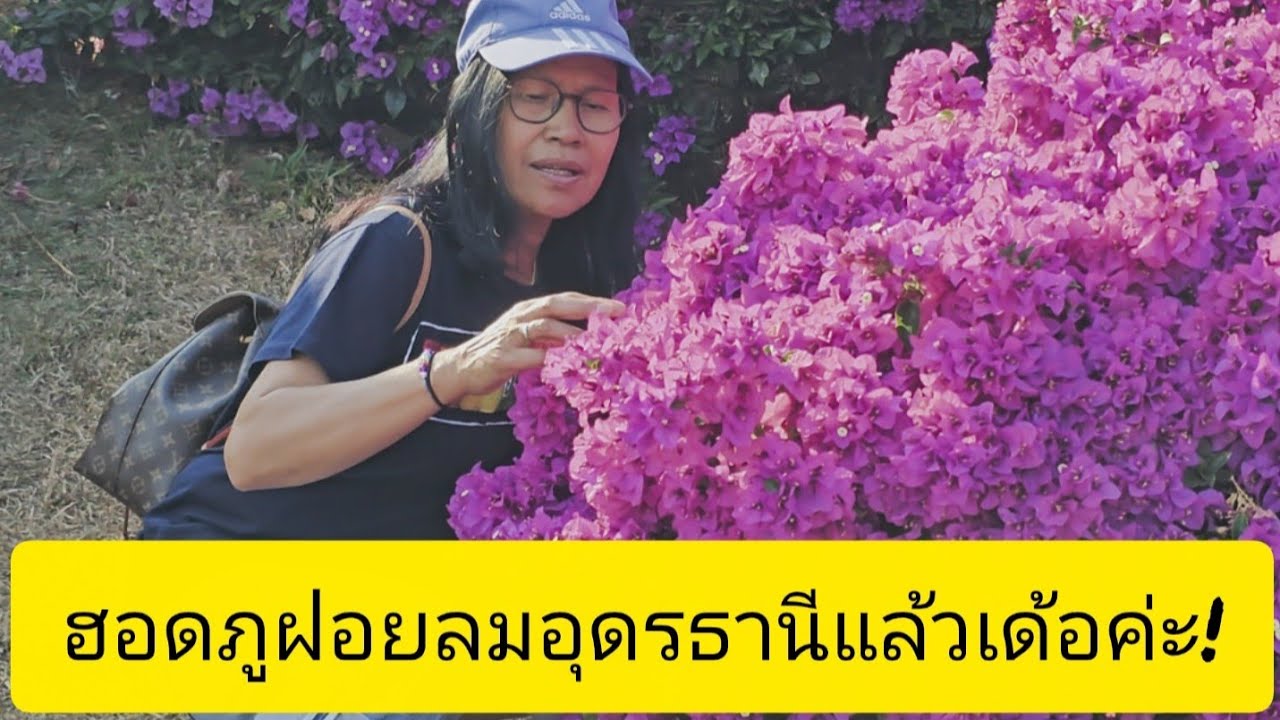 🙏🌻🌺🇹🇭 ฮอดภูฝอยลมอุดรธานีแล้วเด้อค่ะ!
