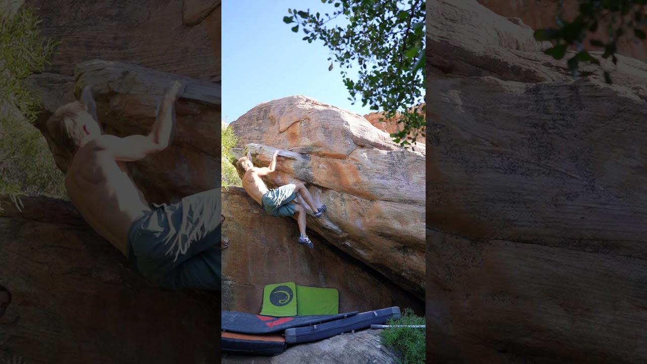 The wee baby shamus 8A by Beni