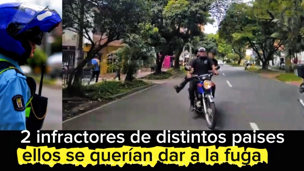 Unos infractores más educados que otros 