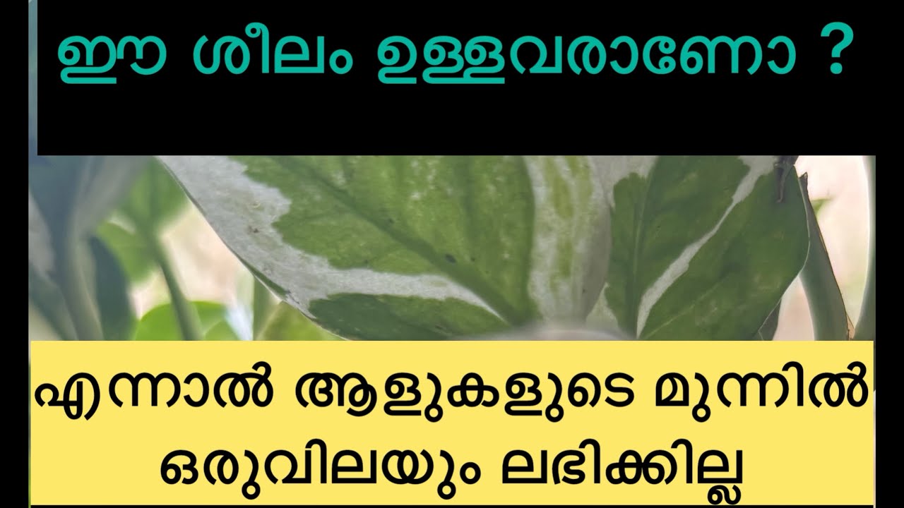 ജീവിതം ദുരിതത്തിലാക്കുന്ന 10 ശീലം