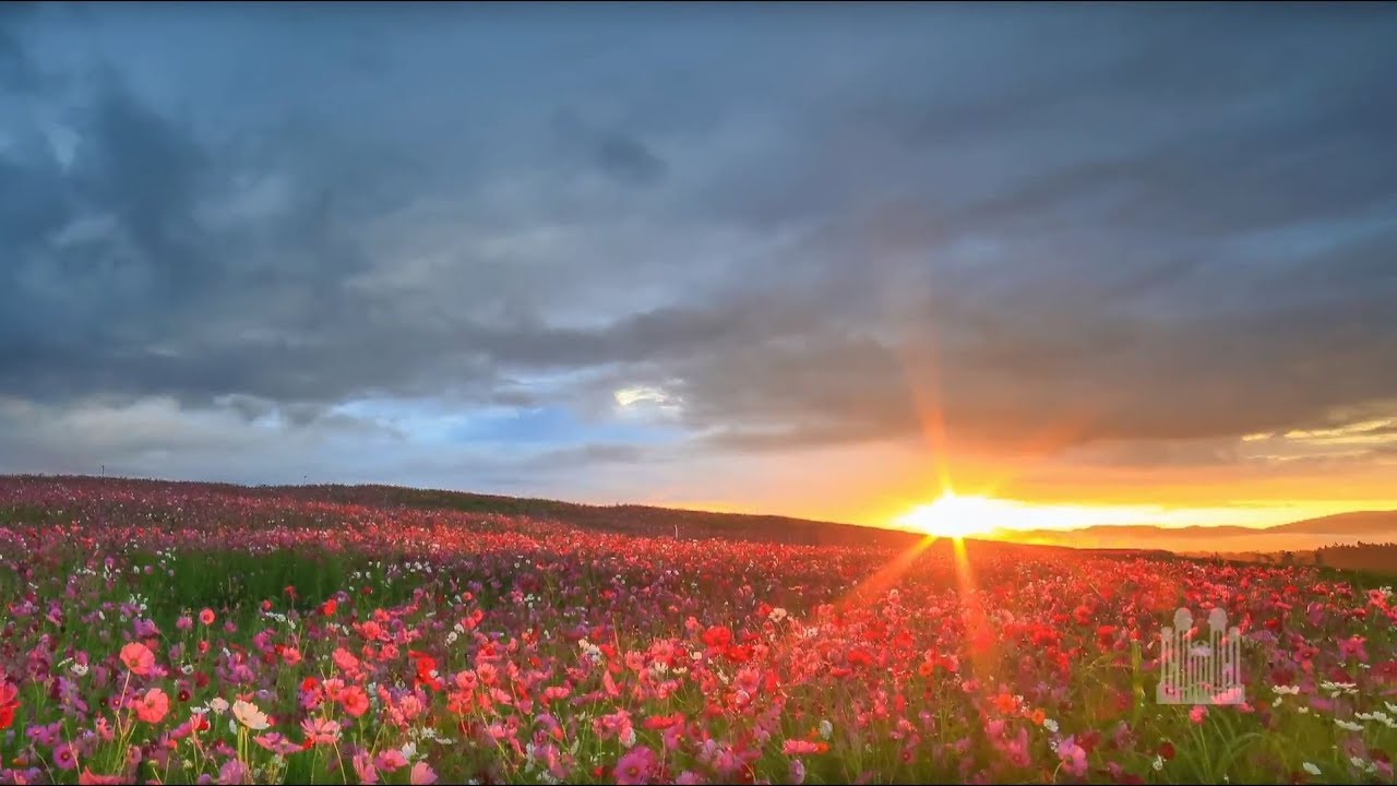 Easter Special (April 14, 2017) - Music & The Spoken Word