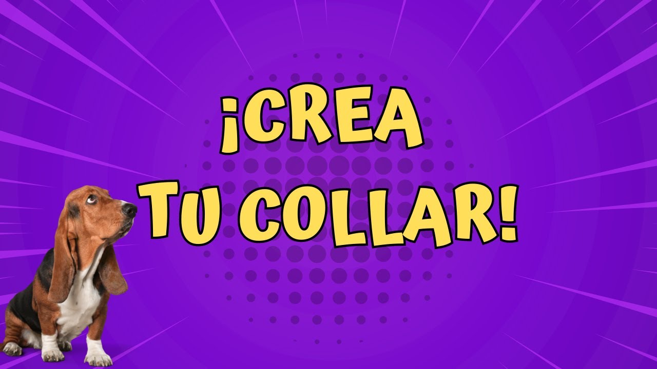 😻 DIY COLLAR para Perro Personalizado (Paso a Paso)