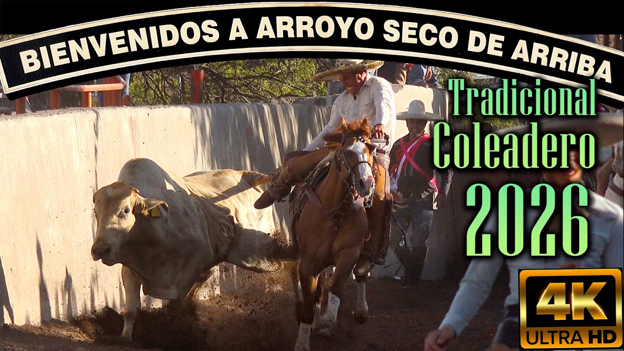 Con Toros Grandes - Arroyo Seco de Arriba - parte 3 4k HD- Tradicional Coleadero 4 enero 2026
