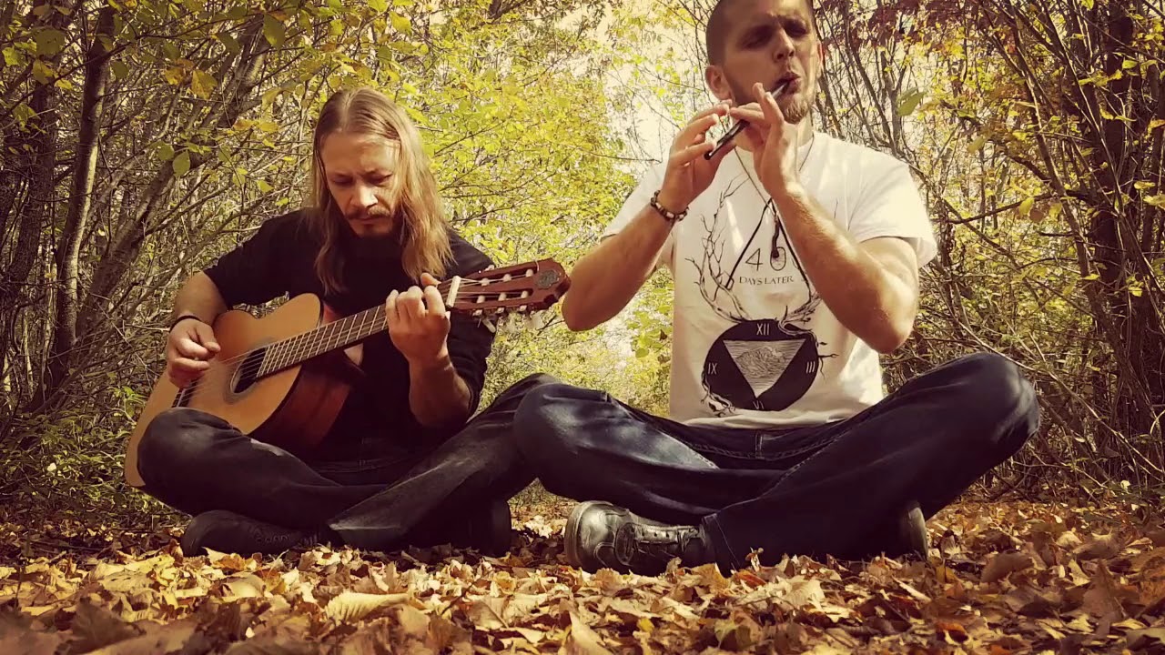 Woodnitza - The Butterfly (Irish folk song - Tin Whistle & Acoustic Guitar)
