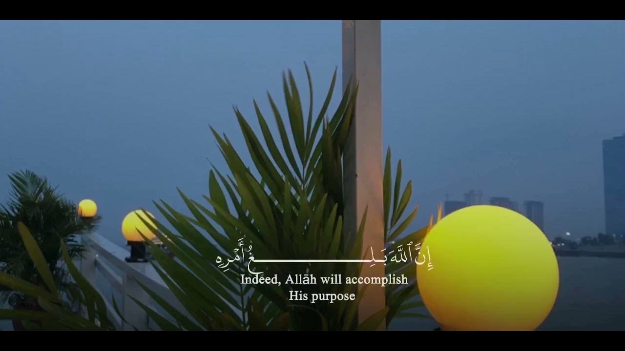 وَمَنْ يَتَّقِ اللَّهَ يَجْعَلْ لَهُ مَخْرَجًا || #القرآن_الكريم 