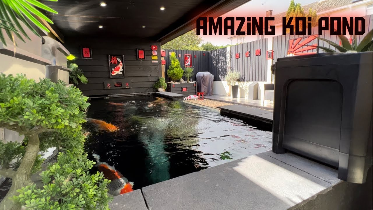 THE Dream￼ KOI POND FILTER HOUSE !!! **NEW IDEAS **