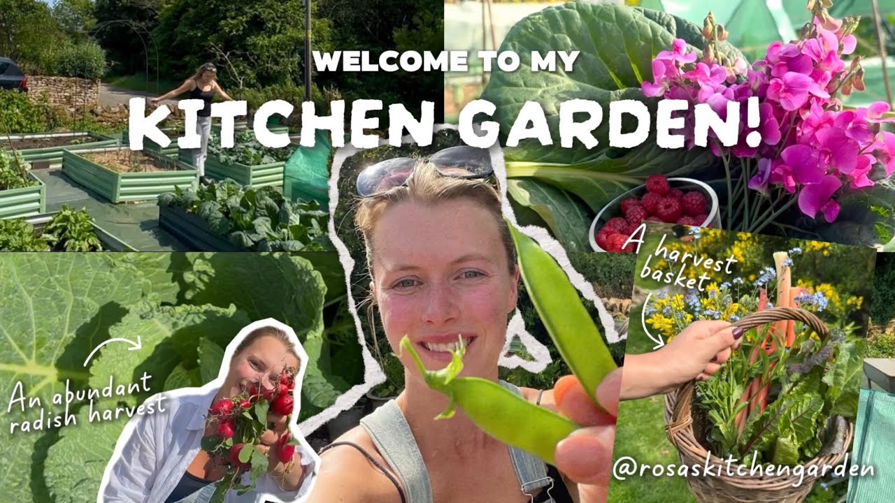 Starting My Kitchen Garden from Scratch | Tour & Intro