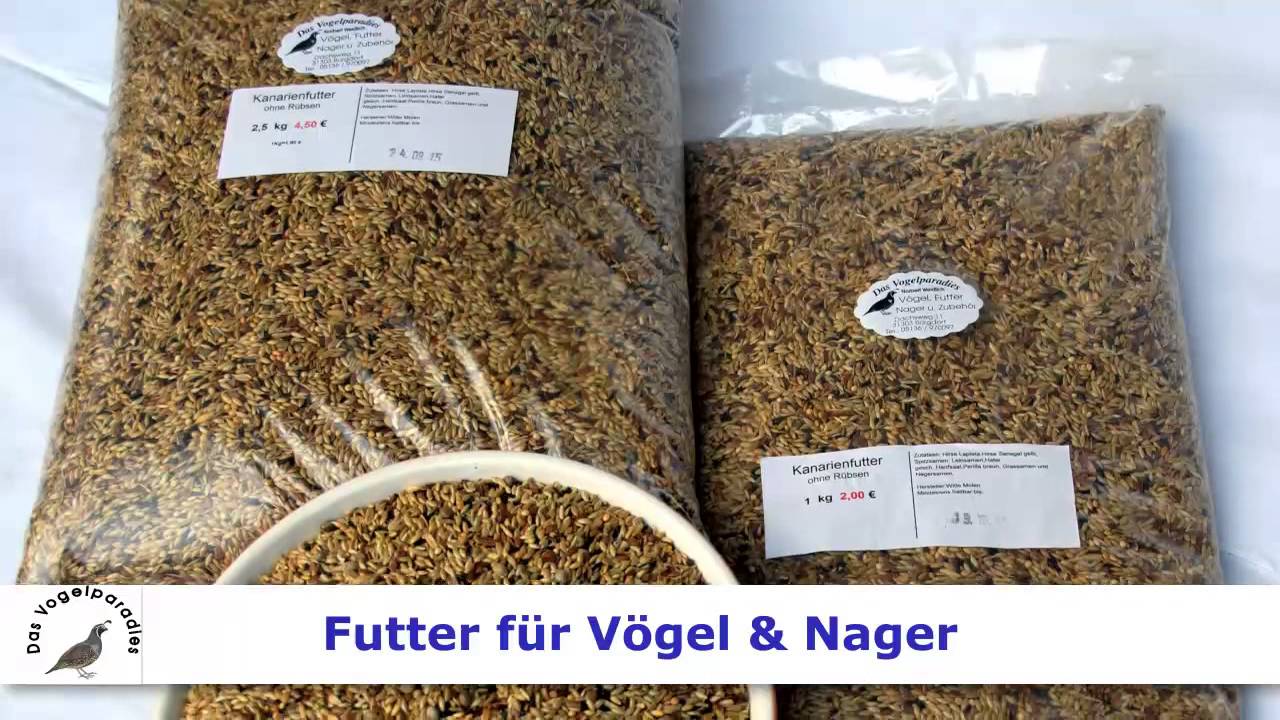 Vogelhaltung Hannover Vogelfutter Burgdorf Wellensittiche Hannover Vogelparadies Weidlich Burgdorf