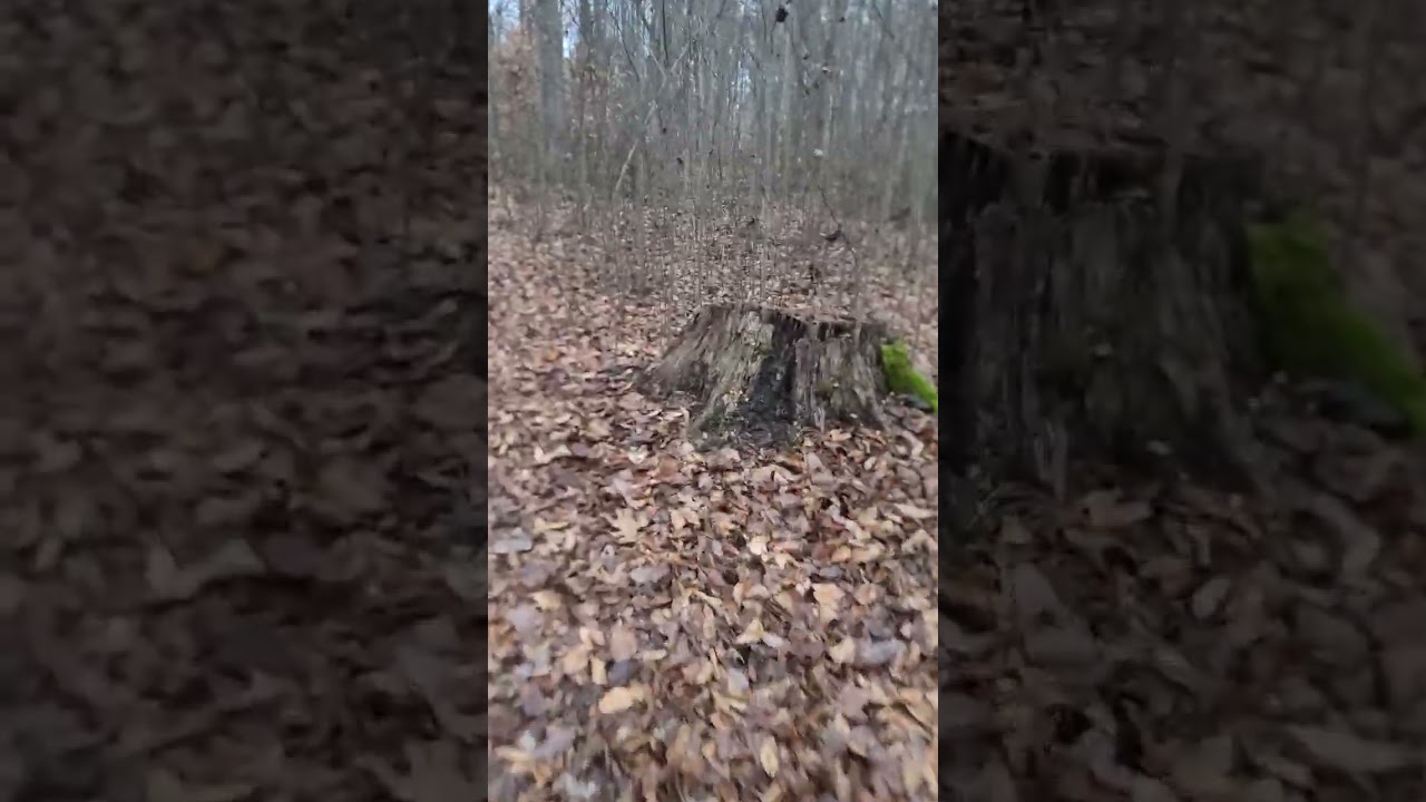 Trail walk near French Lick, Indiana