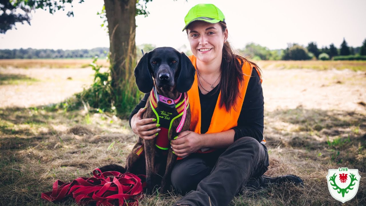 Kadaversuchhundeausbildung im Schwarzwildgatter I Landesjagdverband Brandenburg