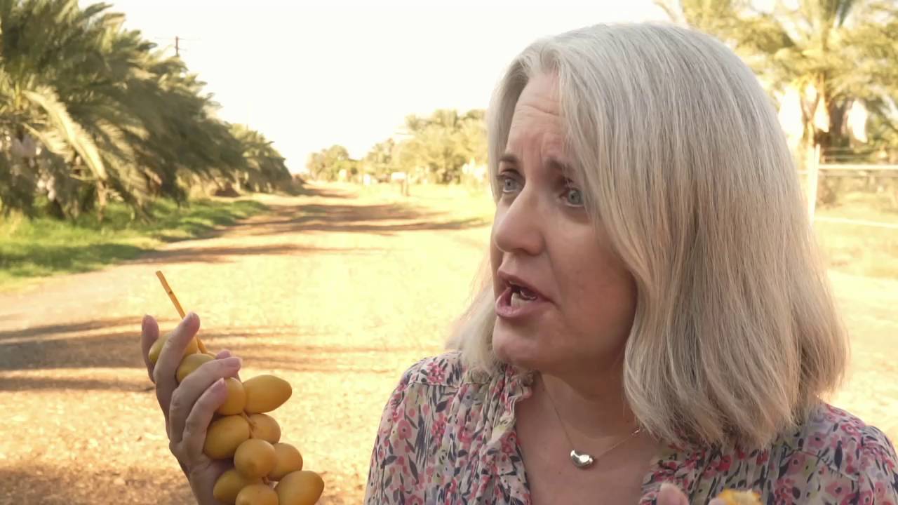 Date Farm