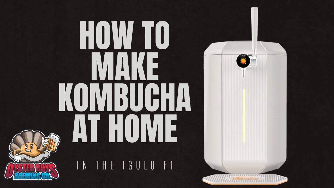 How to make Kombucha in an iGulu F1 Home Brewing Machine - Method, Recipe, and Review