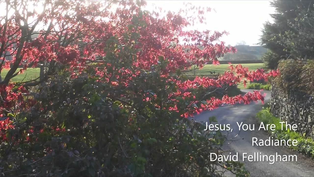 Jesus You Are The Radiance - David Fellingham