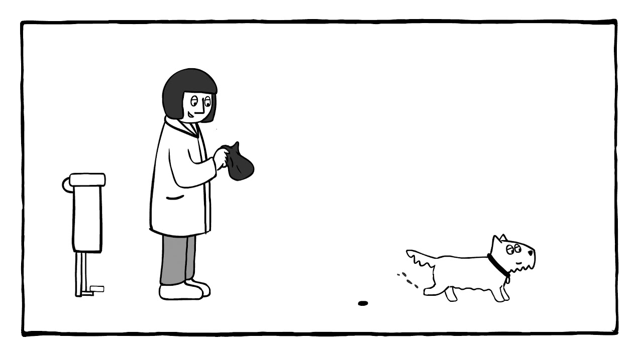 Off The Leash   A Walk in the Park