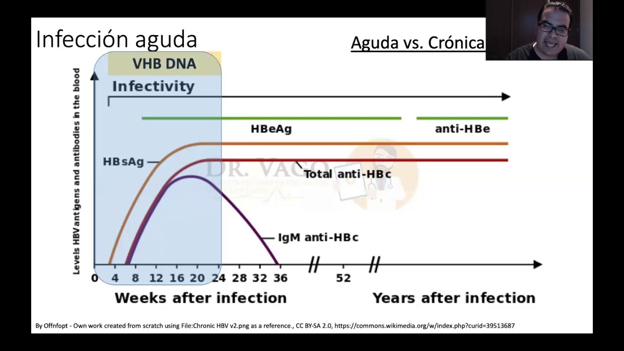 Laboratorio diagnóstico de hepatitis B, para el médico ocupado.
