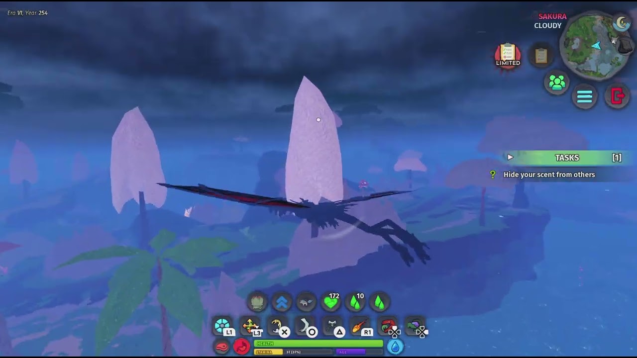 Dragon showcase