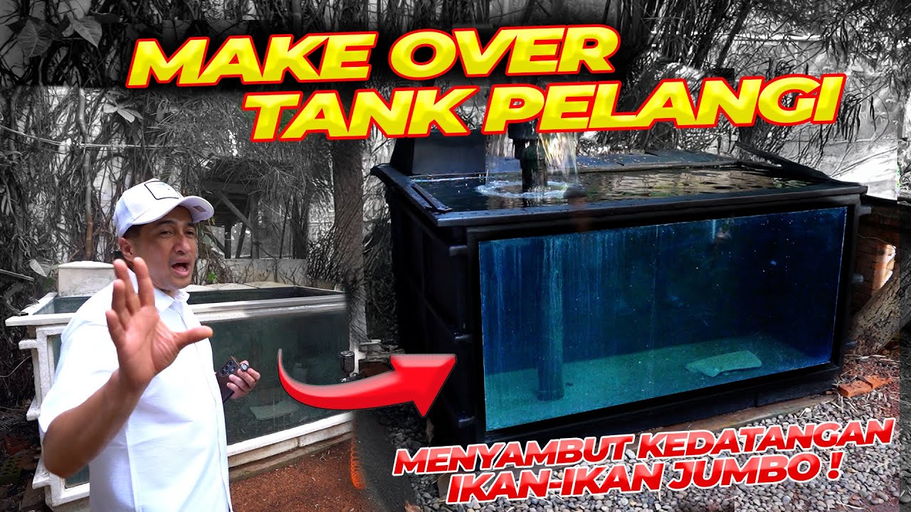 MENYAMBUT DATANGNYA "IKAN RAHASIA" DI DEHAKIMS..!! PAGAR RUMAH JOGLO DIROBOHIN ?!