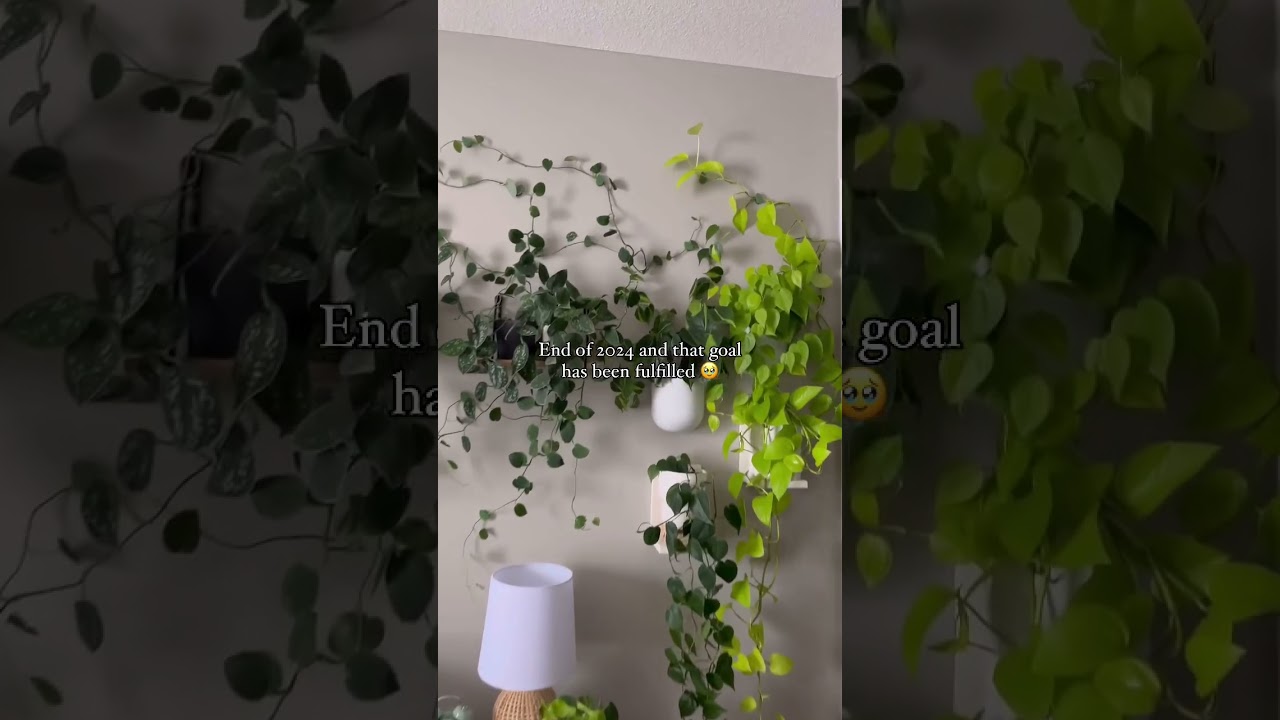 Did your plant dreams came true? 🌱 #plantgoals #dreams #houseplants #plantlover