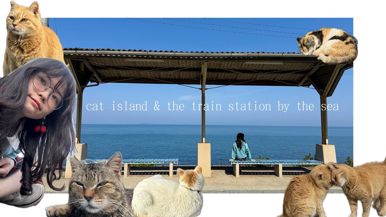Aoshima, Japan's Largest Cat Island | Shimonada Station ♡