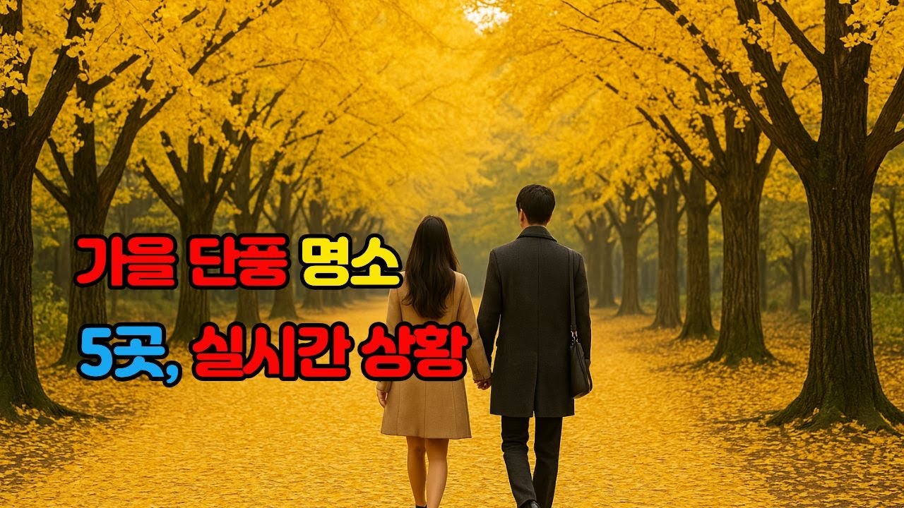 가을단풍 명소 5곳, 실시간 상황  #서울근교단풍명소,, #서울근교은행나무단풍명소,