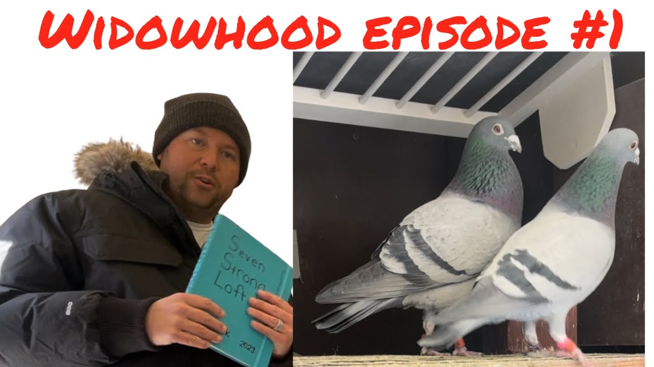 Widowhood Journey Episode #1