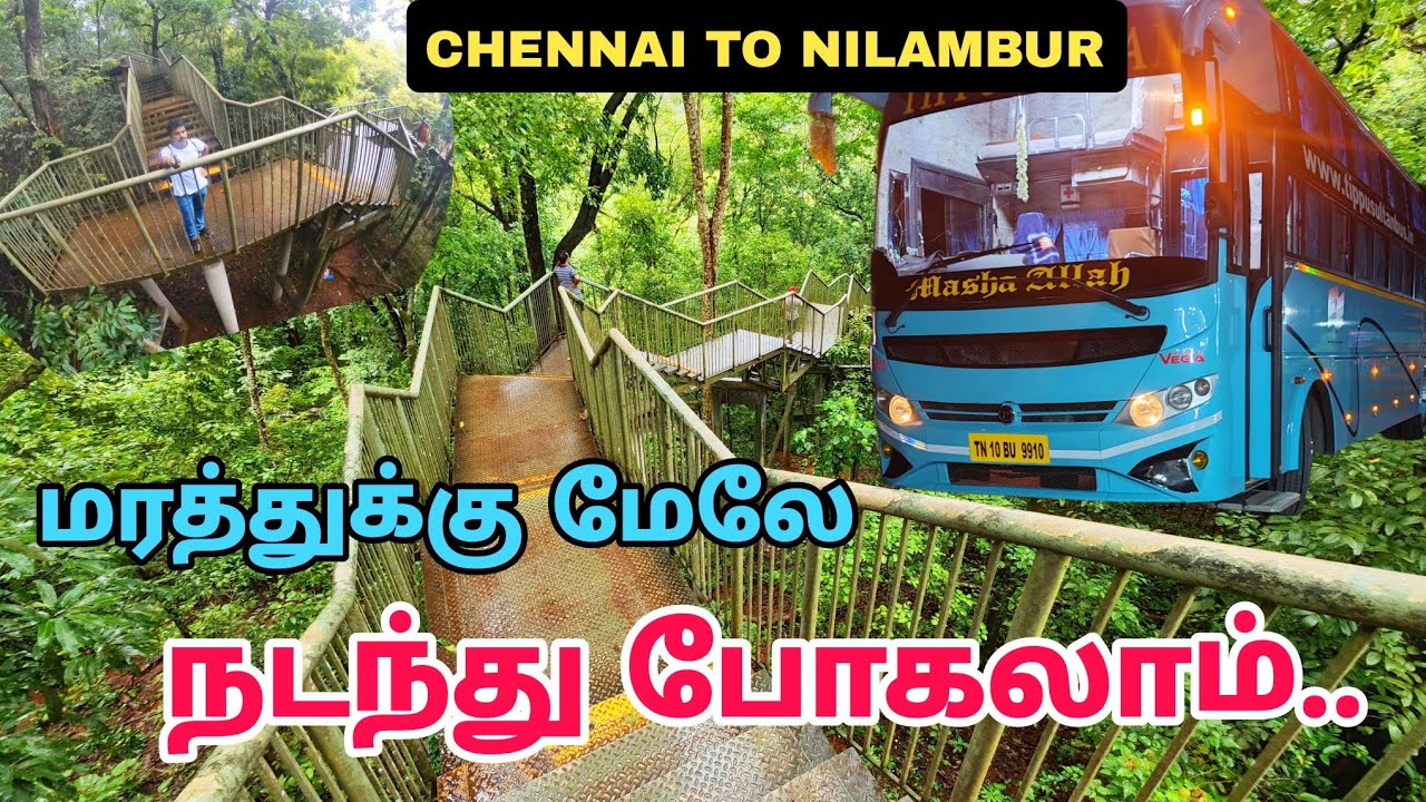 ★நீங்கள் பார்த்திடாத ஒரு அழகு ★தேக்குமரக்காடு | Hidden Place in Kerala | Nilambur Sky Walk