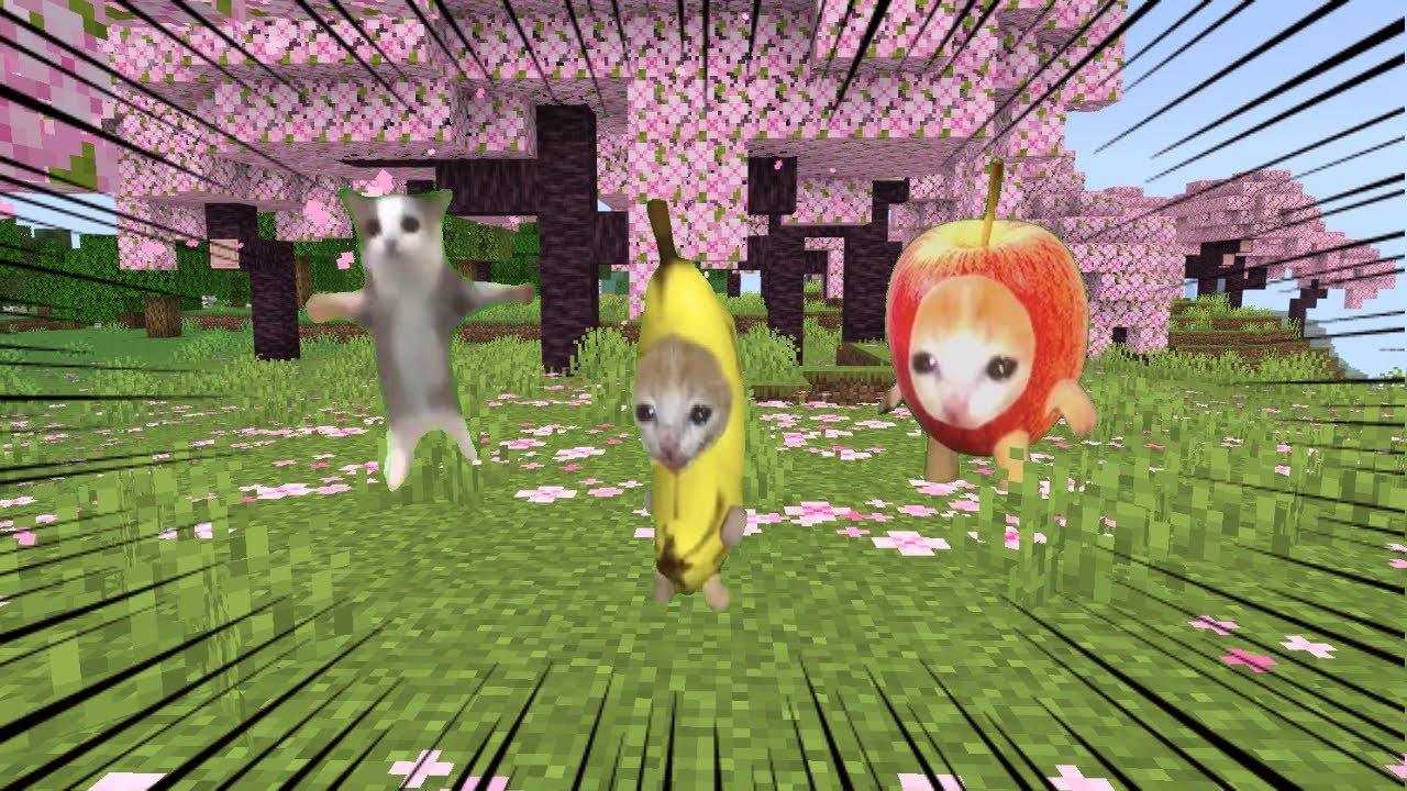 バナナ猫がマイクラにやってきた！【総集編Part 9】