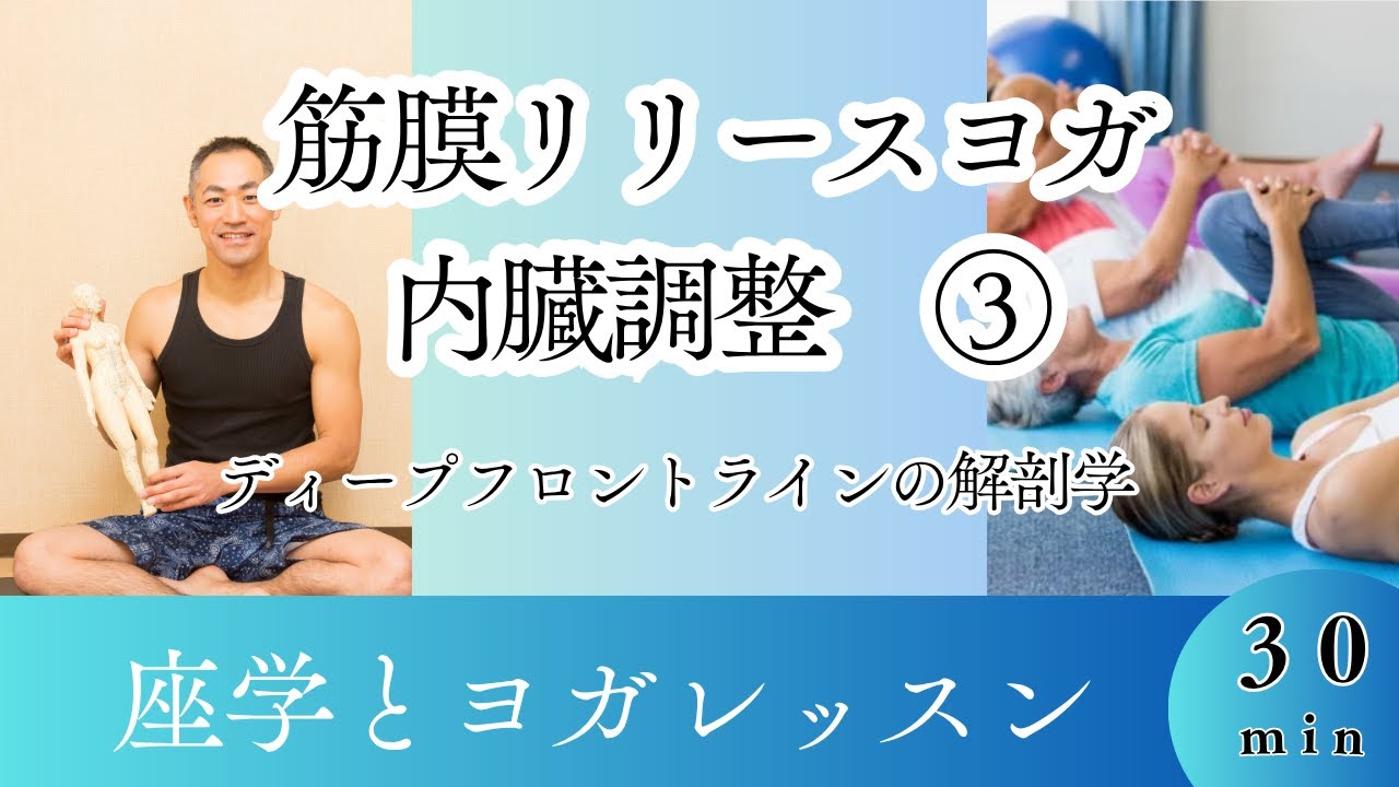 筋膜リリースヨガ～座学とレッスン～内臓調整のフロントライン③