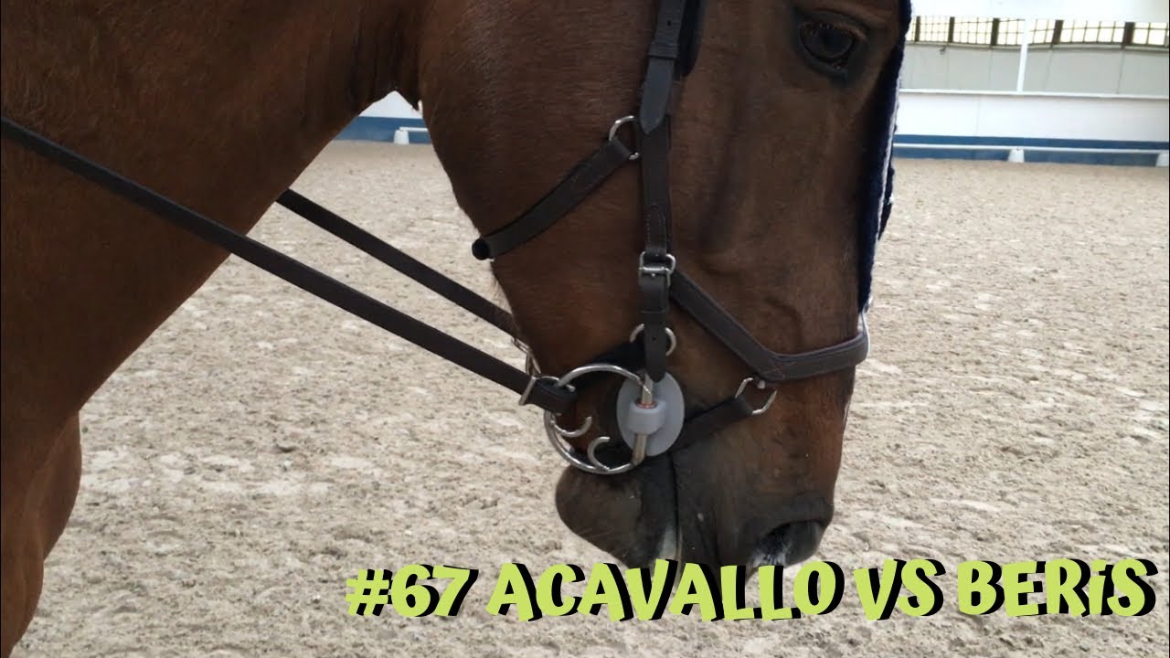Vélemény videó - ACAVALLO vs BERIS