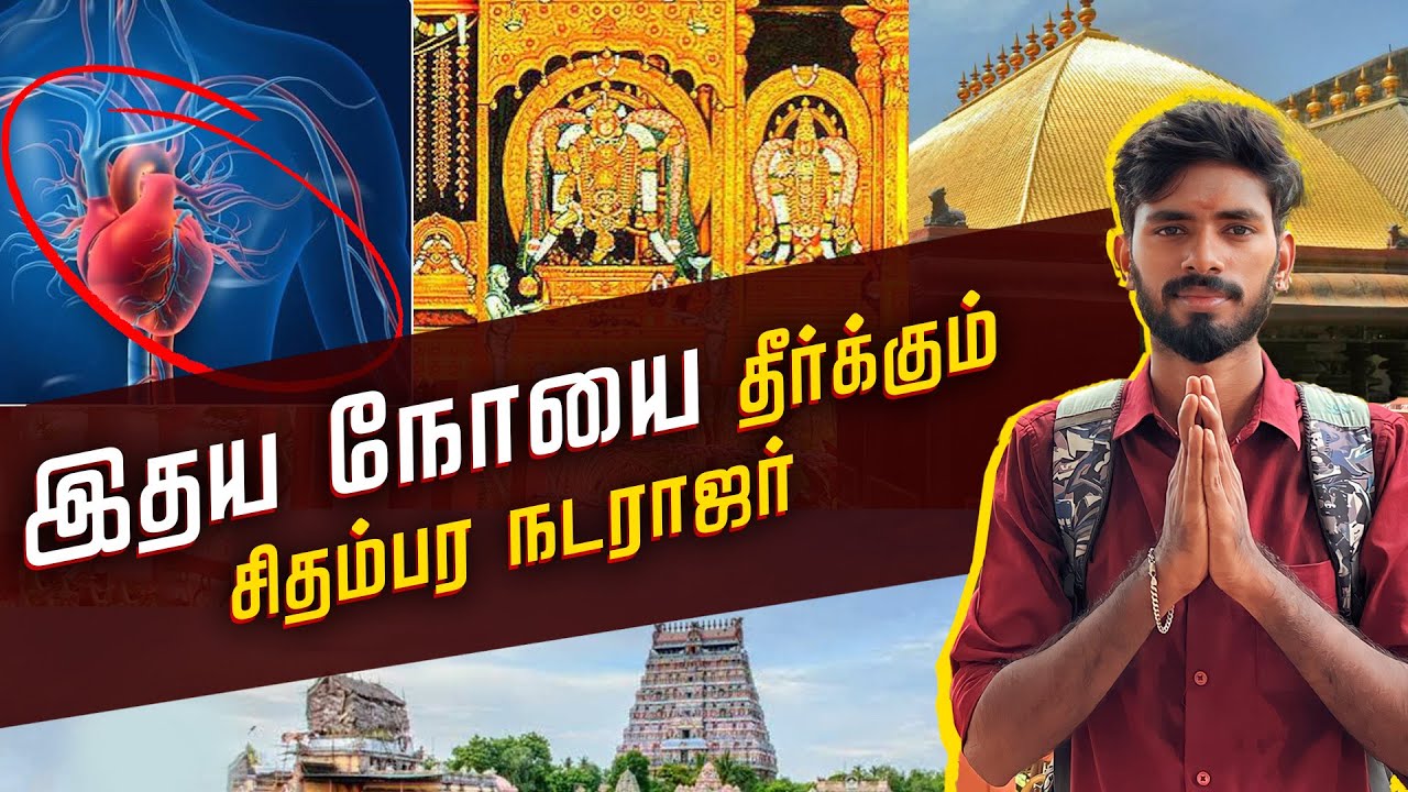 சிதம்பரம் நடராஜரை தரிசிக்கும் வழிமுறைகள் | Chidambaram Temple | Sanjaysamy | Vlog #71